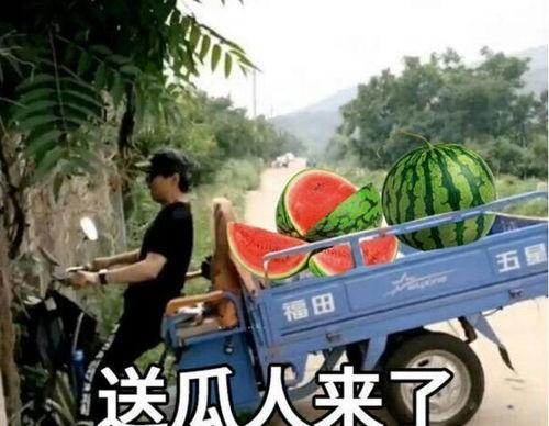 最近大瓜事件,揭秘明星隐私风波背后的真相-第1张图片-亚洲香蕉中文日韩