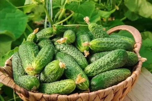 最近大瓜事件,揭秘明星隐私风波背后的真相-第2张图片-亚洲香蕉中文日韩