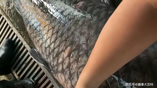 青鱼视频偷拍观看国产-第3张图片-亚洲香蕉中文日韩 青鱼视频偷拍观看国产-第3张图片-亚洲香蕉中文日韩