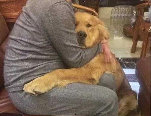 国产sm狗奴视频,扭曲的欲望与道德沦丧-第2张图片-亚洲香蕉中文日韩 国产sm狗奴视频,扭曲的欲望与道德沦丧-第2张图片-亚洲香蕉中文日韩