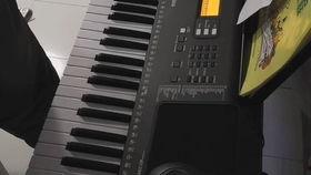 国产电子琴演奏老歌视频,国产电子琴演绎经典老歌风采-第2张图片-亚洲香蕉中文日韩