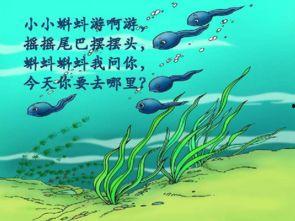 国产中出小蝌蚪视频-第3张图片-亚洲香蕉中文日韩