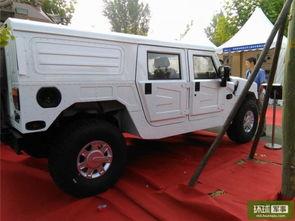 中国产防雷车视频,守护安全防线的高科技利器-第2张图片-亚洲香蕉中文日韩