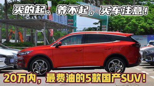 20万国产车搞笑视频,笑料百出，车界“笑果”横生-第1张图片-亚洲香蕉中文日韩